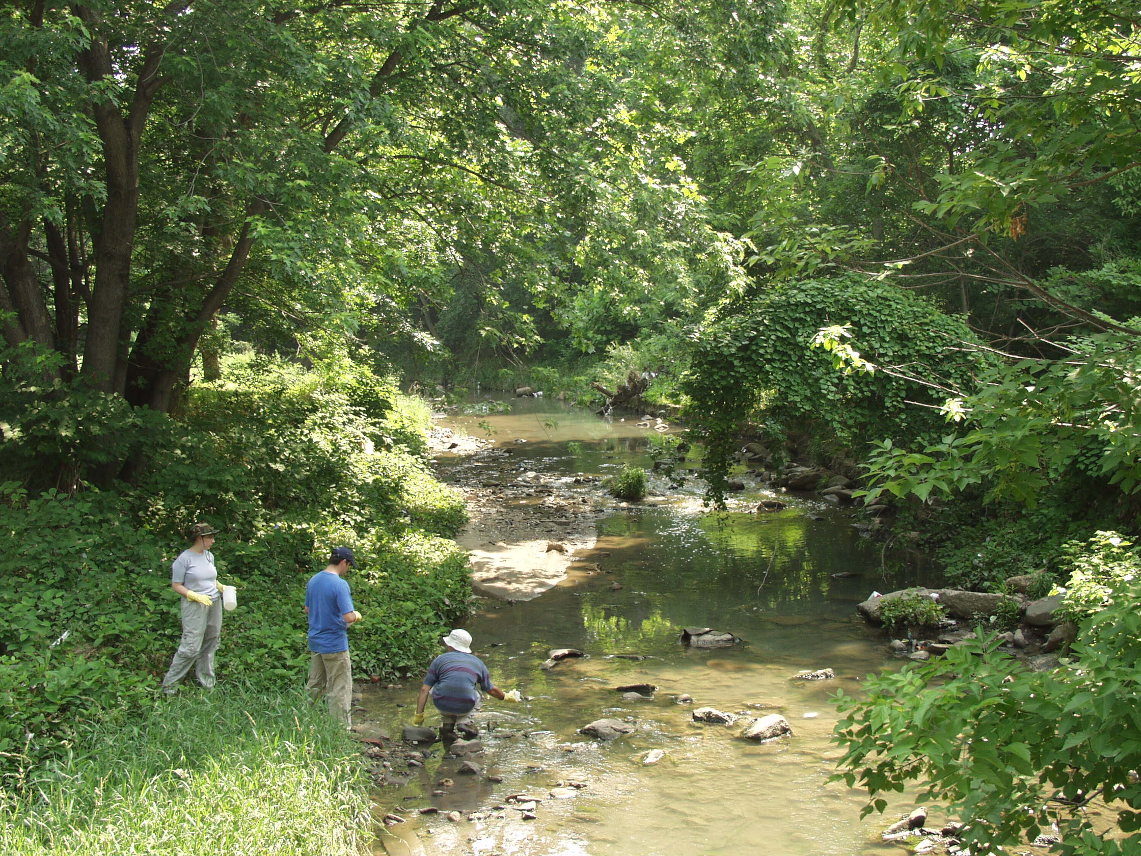 Three investigators collecting streamwater samples